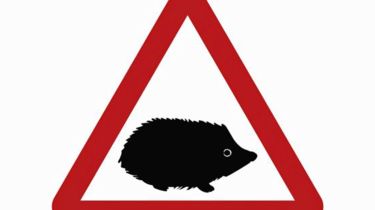 谨防刺猬：新的道路标志在路上警告小动物