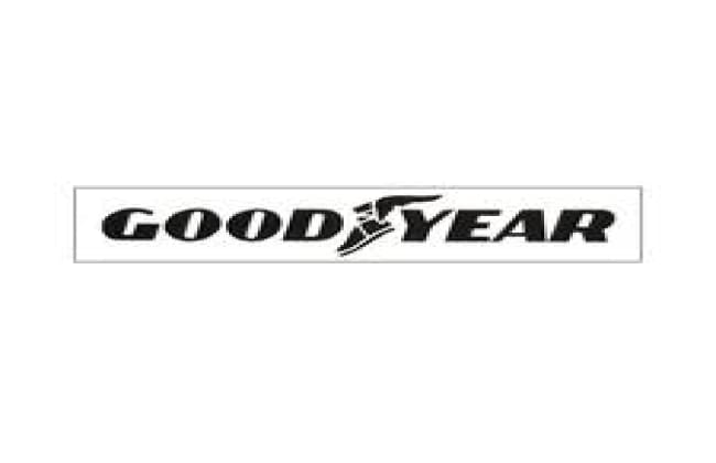 Goodyear报告2010年第四季度，全年成果