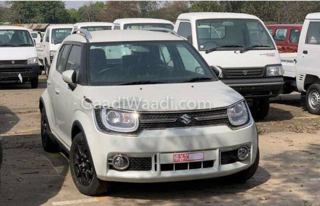 2019 Maruti Ignis在发射之前在经销商处享受