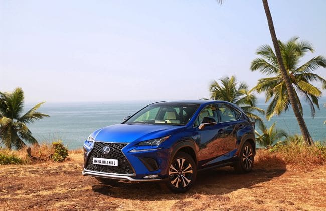 lexus nx 300h变体解释了